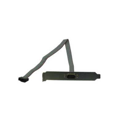 16" DB9M Adapter Cable