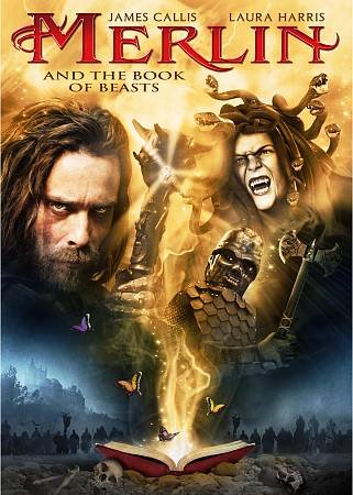 MERLIN & THE BOOK OF BEASTS (DVD)