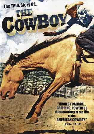 COWBOY (DVD/1954/FF 1.33)-NLA!