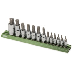 13 PIece Torx Bit Set