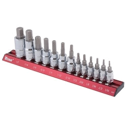 13 Piece SAE Hex Bit Socket Set
