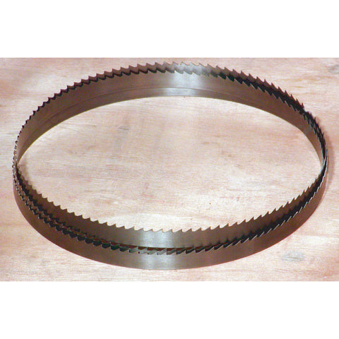 Replacement Band Saw Blade