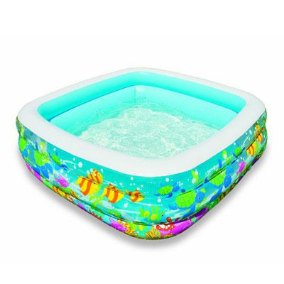 Clearview Aquarium Pool