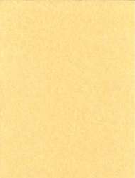 Light Parchment Paper 25 Pack  (8 1/2" x 11")