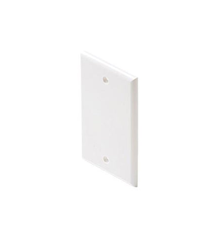 Blank Ivory Cover Plate